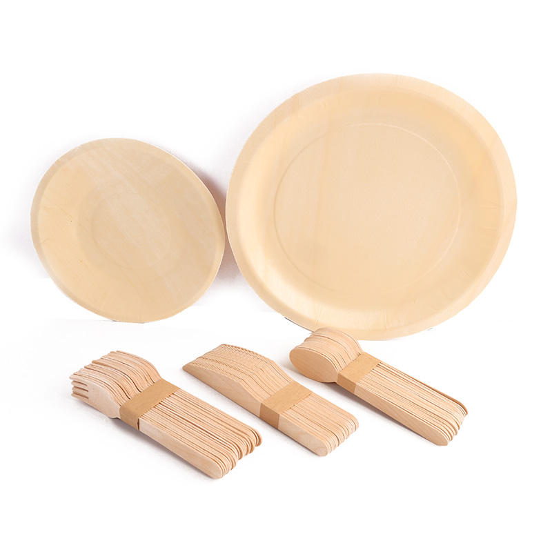 Disposable Wooden Plates & Cutlery Set